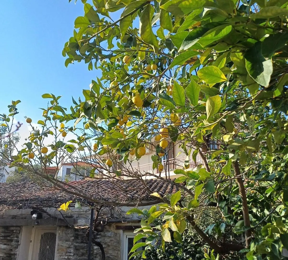 בית נופש Nikiti 'S Old Town Traditional House