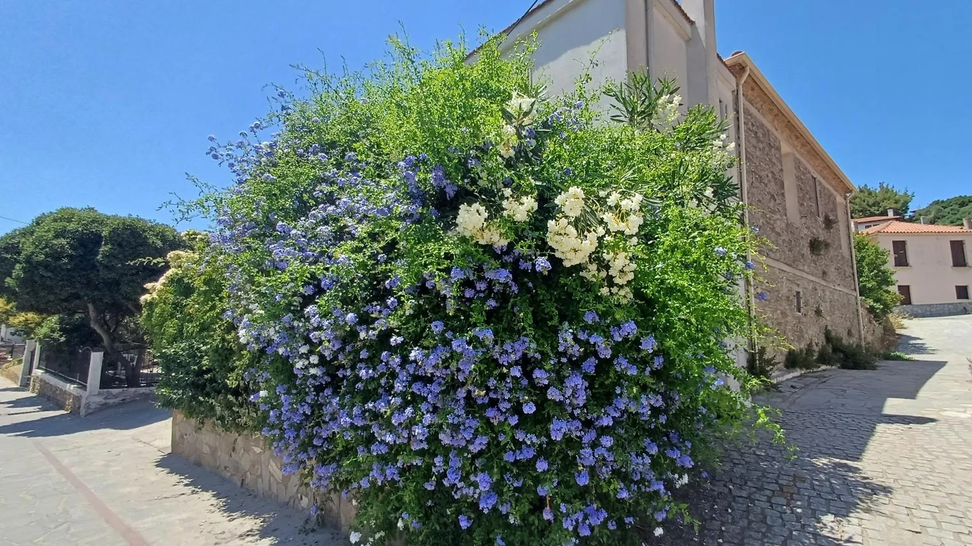 Nikiti 'S Old Town Traditional House יוון